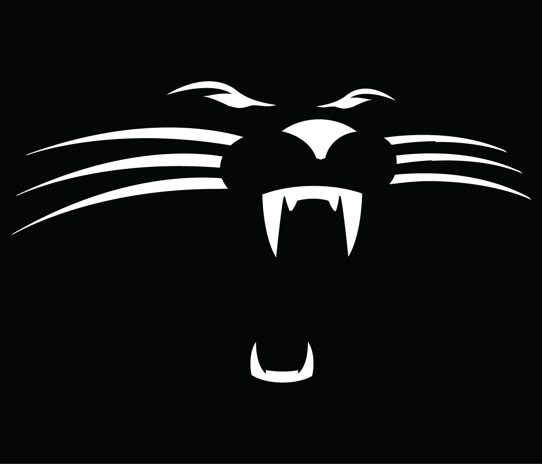 Carolina Panthers 1995-2011 Alternate Logo DIY iron on transfer (heat transfer)...